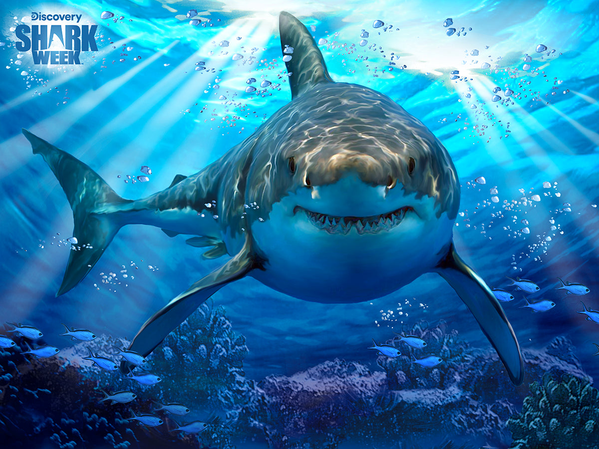 Great White Shark Discovery - Shark Week 3D Jigsaw Puzzle 10324 500pc 24x18"