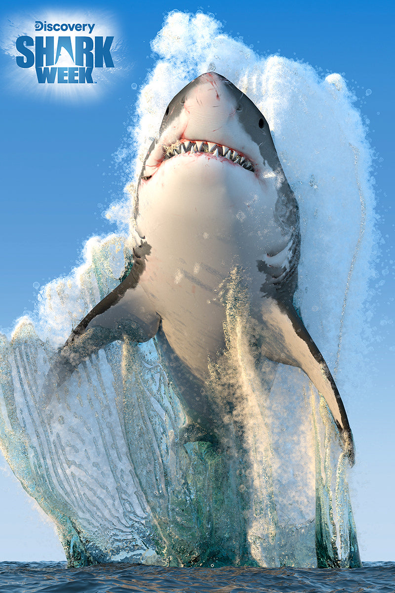 Great White Shark Shark Week 3D Jigsaw Puzzle 20887 150pc 18x12"