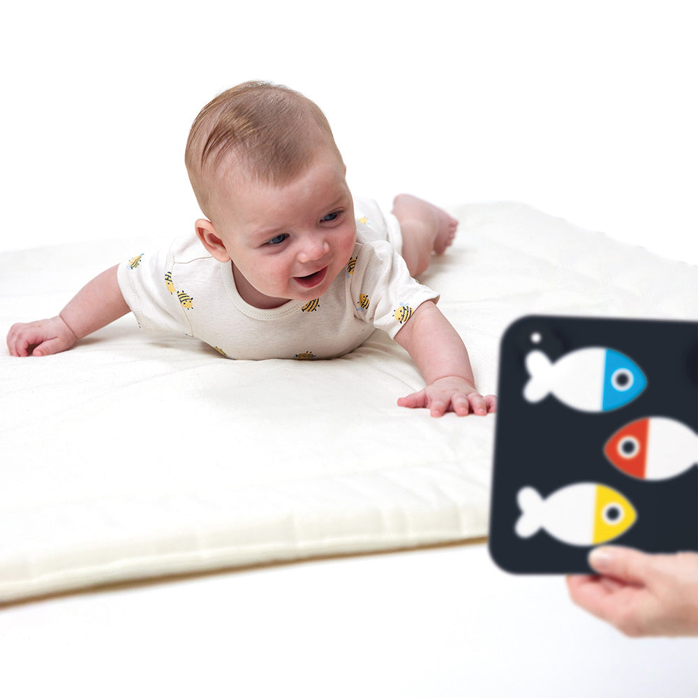 76276 | Banana Panda High Contrast Baby Cards 0m+ 3m+