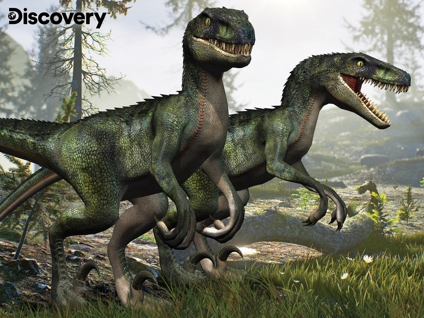 Velociraptor Discovery 3D Jigsaw Puzzle – 100 Piece Dinosaur Puzzle | Prime3D | 12x9" | 1Di Canada