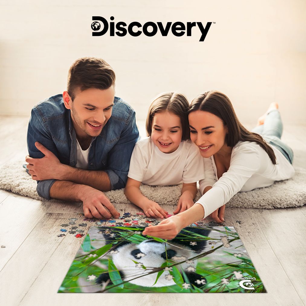 10071 | Discovery  Giant Panda 500pc 24x18"