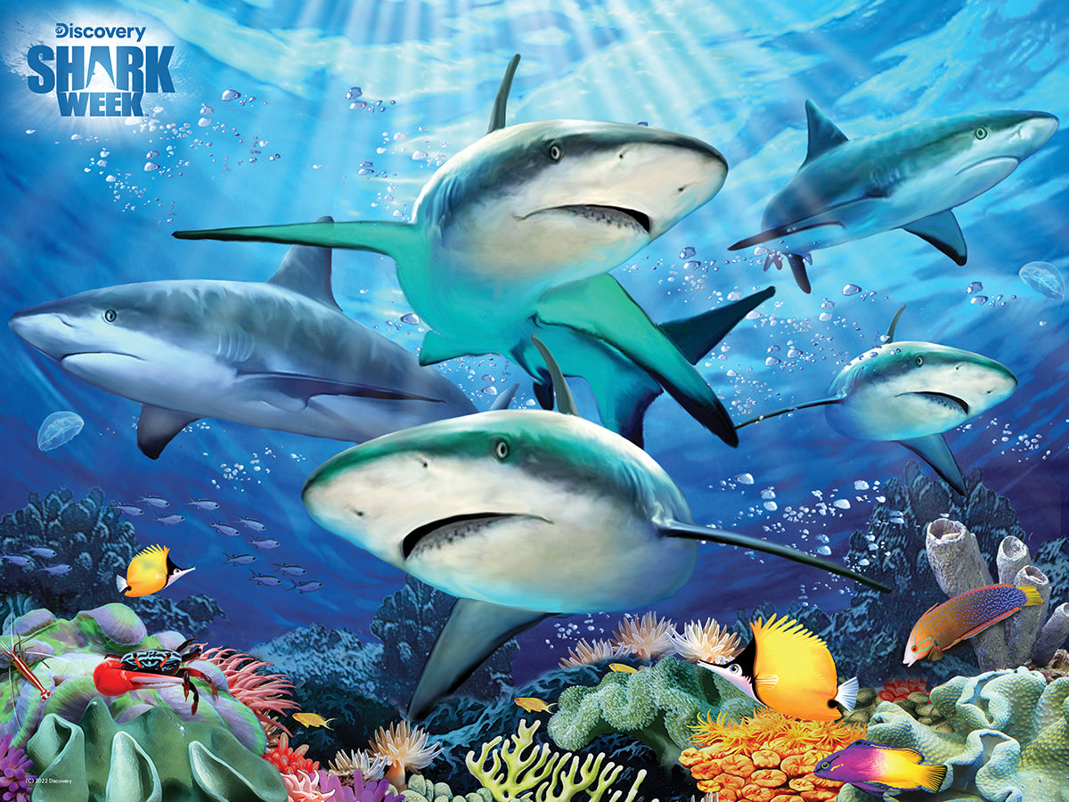 Howard Robinson - Shark Reef Shark Week 3D Jigsaw Puzzle 10672 100pc 12x9"