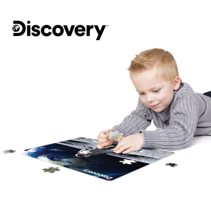 10709 | Discovery Astronaut 100pc 12x9"