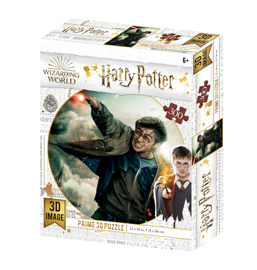 Harry Potter Harry Potter 3D Jigsaw Puzzle 33006 300pc 18x12"
