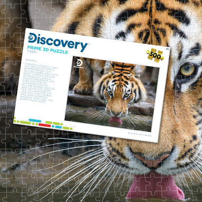 Tiger Discovery Prime3D Puzzle (500 Pieces, 24" × 18") | King of the Jungle? Close Enough. | 10472