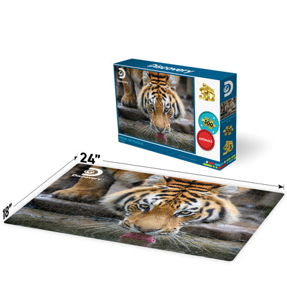 Tiger Discovery Prime3D Puzzle (500 Pieces, 24" × 18") | King of the Jungle? Close Enough. | 10472