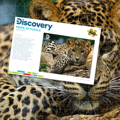 Puzzle découverte léopard Prime3D (500 pièces) | Des taches, des rayures et un plaisir vraiment sauvage | 10474