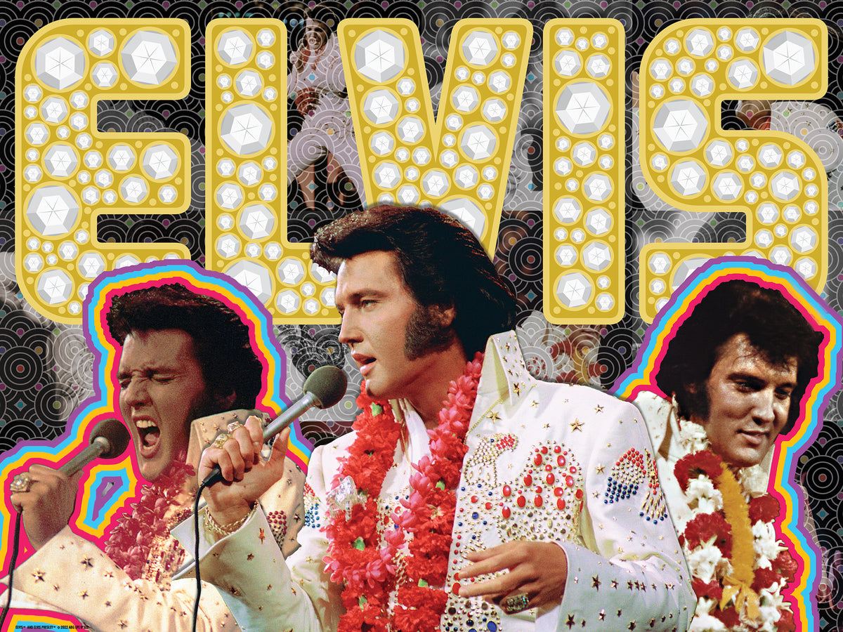 Elvis Presley 3D/2D 500 Piece 3D Lenticular Puzzle | Celebrate the King of Rock 'n' Roll | 24x18" | 37519