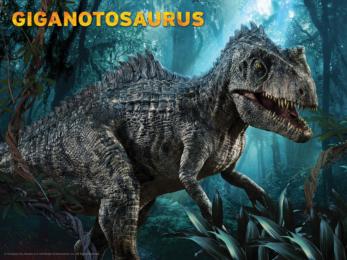 Puzzle 3D/2D 500 pièces Jurassic World Ceratosaurus contre Giganotosaurus P3D37546 – Bataille de dinosaures lenticulaire double face | Prime3D 24x18 po | 1Di Canada