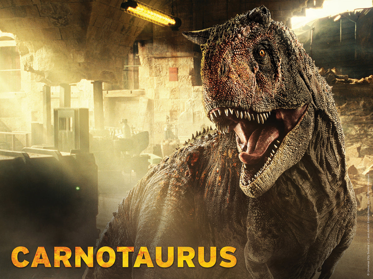 Puzzle 3D/2D 500 pièces Jurassic World Ceratosaurus contre Giganotosaurus P3D37546 – Bataille de dinosaures lenticulaire double face | Prime3D 24x18 po | 1Di Canada